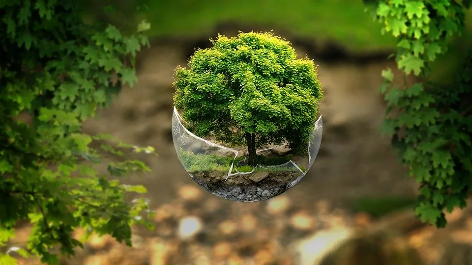 casa bioclimatica di lusso architettura sostenibile .Tree in a glass sphere, reflecting nature and greenery.